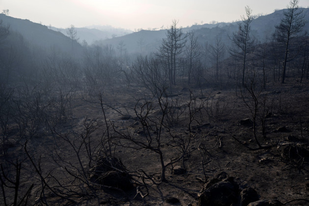 burnt-trees-stand-near-gennadi-village-on-the-aegean-sea-island-of-rhodes-southeastern-greece-on-wednesday-july-26-2023-major-fires-raging-in-greece-and-other-european-countries-have-advanced-t