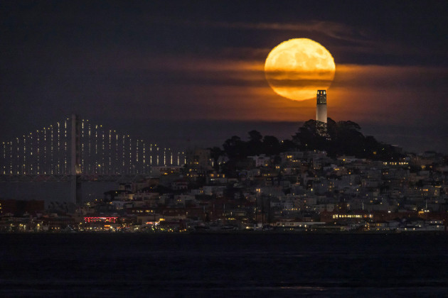 a-supermoon-also-known-as-the-sturgeon-moon-rises-with-san-franciscos-coit-tower-in-the-foreground-seen-from-from-sausalito-calif-thursday-aug-11-2022-carlos-avila-gonzalezsan-francisco-c