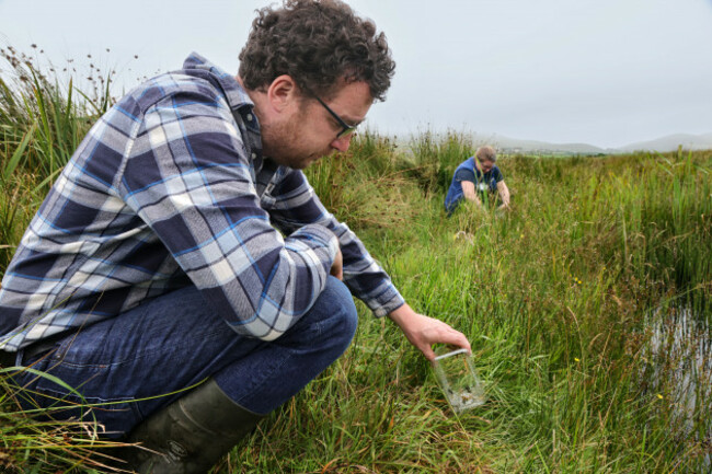 Natterjack Toadlets Release Tommy Reidy