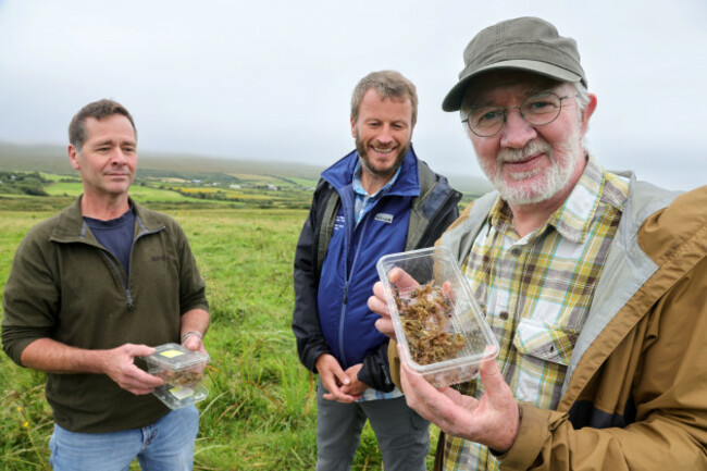 Natterjack Toadlets Release NPWS14