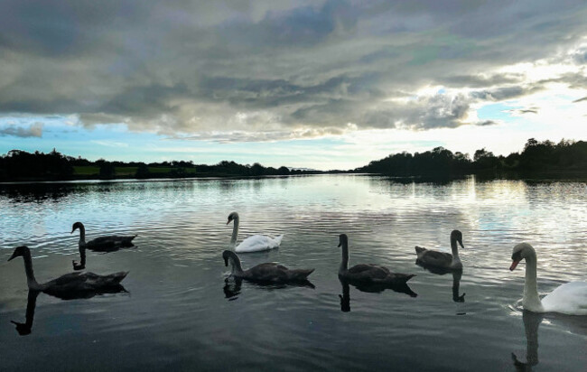 Weather in Cork-1
