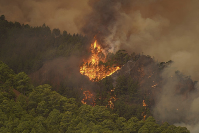 spain-tenerife-wildfires