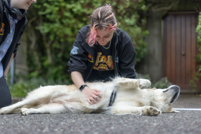 f85959b6-b822-431f-9c0f-a3149f8fa7d1