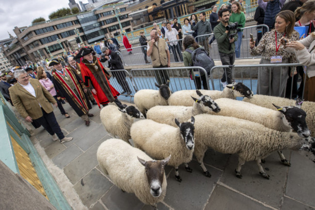 10th-london-sheep-drivetop-chef-richard-corrigan-to-lead-10th-london-sheep-drive