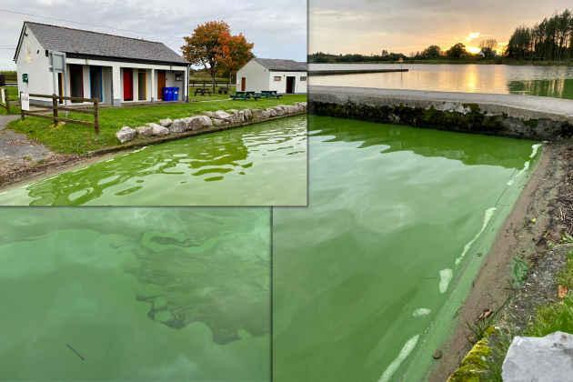 Combined Photos of the algae bloom at Keeldra Lough. One shows the changing area in front of a luminous green lake. Another is a close up of algae in the water. The final photo is the bathing area which is a pier. It is surrounded by luminous green algae-filled water. The sun is setting in the background.