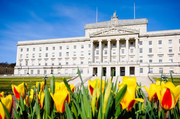 tulips-outside-parliament-buildings-stormont-belfast-home-of-the-northern-ireland-assembly