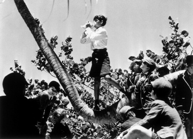 sa-majeste-des-moucheslord-of-the-flies1963real-peter-brook-collection-christophel-two-arts-ltd