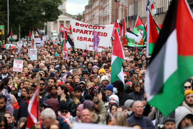 palestine protest 43