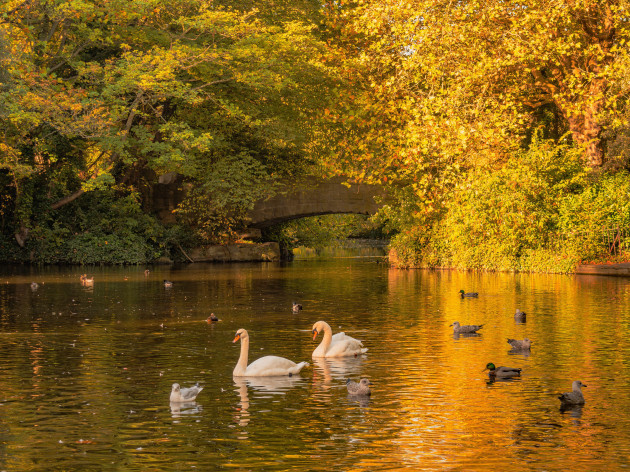 the-changing-autumn-colours-of-st-stephens-green-on-a-fine-october-morning