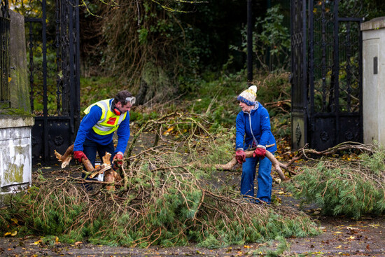 a-man-and-a-woman-clear-a-fallen-tree-on-the-dublin-road-in-dundalk-co-louth-heavy-winds-and-fallen-trees-have-been-reported-across-the-country-as-local-authorities-begin-to-assess-the-damage-as-sto