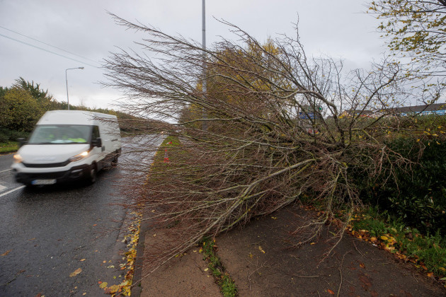 a-fallen-tree-on-the-coes-road-in-dundalk-co-louth-heavy-winds-and-fallen-trees-have-been-reported-across-the-country-as-local-authorities-begin-to-assess-the-damage-as-storm-debi-sweeps-across-the