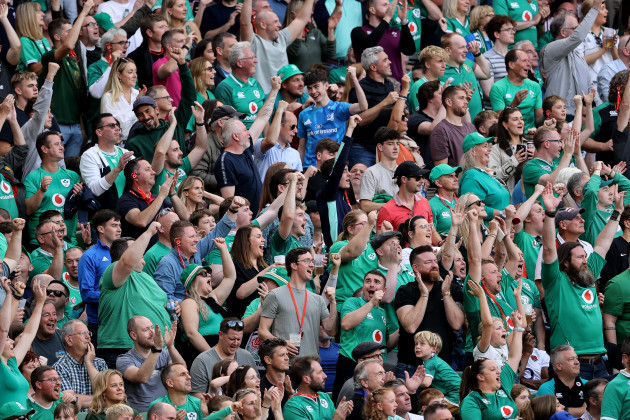 ireland-fans-celebrate-james-lowes-try