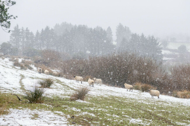 ballingeary-west-cork-ireland-8th-mar-2023-parts-of-west-cork-are-today-covered-in-heavy-snow-with-snow-showers-forecast-to-continue-for-the-rest-of-the-day-met-eireann-has-issued-a-yellow-snow