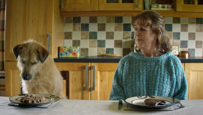 53360180929_a1c604e1f6_k