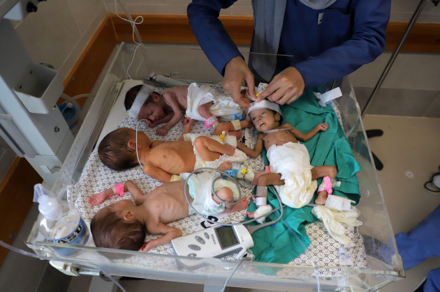 231120-gaza-20-nov-2023-xinhua-un-trabajador-de-la-salud-cuida-a-bebés-prematuros-evacuados-en-un-hospital-en-la-ciudad-de-la-franja-de-gaza-sur-de- rafah-nov-19-2023-treinta y un-bebes-prematuros