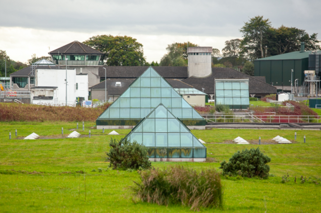 Ballymore Eustace Plant