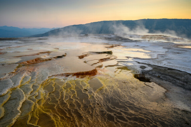 grassy-spring-at-upper-mammoth-terraces-in-yellowstone-national-park