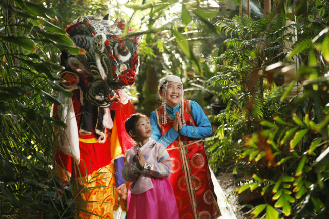 NO FEE DUBLIN LUNAR NEW YEAR JB8