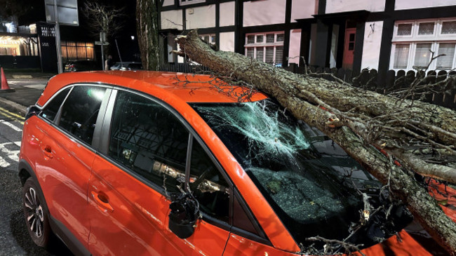 a-tree-branch-fallen-on-a-car-on-lisburn-road-in-belfast-during-storm-isha-a-status-red-wind-warning-has-been-issued-for-counties-donegal-galway-and-mayo-as-authorities-warn-people-to-take-care-ahea