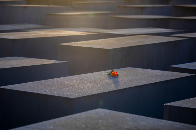 berlin-germany-27th-jan-2024-a-rose-lies-on-a-stele-at-the-memorial-to-the-murdered-jews-of-europe-to-mark-the-international-day-of-commemoration-in-memory-of-the-victims-of-the-holocaust-credit