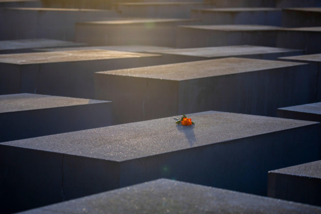 berlin-germany-27th-jan-2024-a-rose-lies-on-a-stele-at-the-memorial-to-the-murdered-jews-of-europe-to-mark-the-international-day-of-commemoration-in-memory-of-the-victims-of-the-holocaust-credit