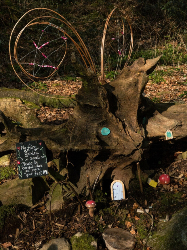 irishfairytreeinmountainsinsummertimemagicalway