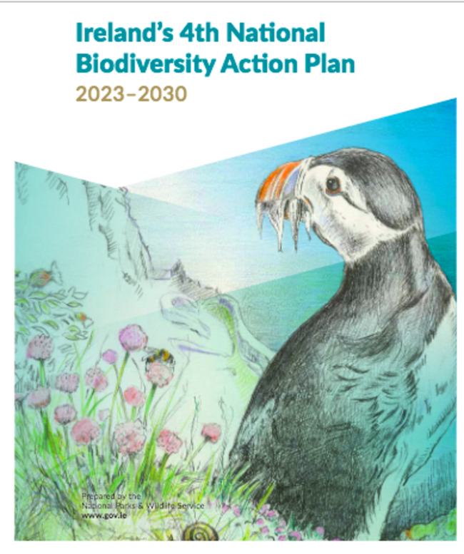 Screen Shot 2024-02-02 at 07.47.59