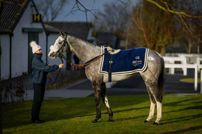 helen-peppard-with-caldwell-potter-who-created-a-new-world-record-for-the-sale-of-a-national-hunt-horse-today-achieving-e740000