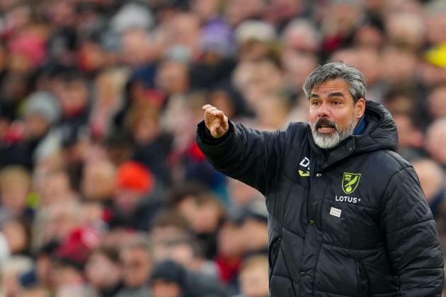 norwich-citys-coach-david-wagner-gives-instructions-to-his-players-during-the-english-fa-cup-fourth-round-soccer-match-between-liverpool-and-norwich-at-anfield-stadium-in-liverpool-england-sunday