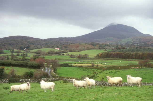 aj0950-europe-irl-republic-of-ireland-ireland-eire-county-mayo-image-shot-1999-exact-date-unknown