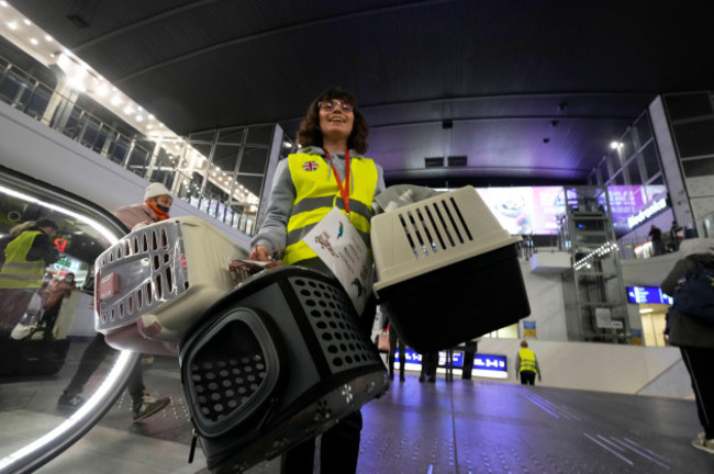 a-volunteer-holds-donated-pet-carriers-for-ukrainian-refugees-arriving-with-their-pets-at-the-warsaw-centralna-train-station-in-poland-wednesday-march-16-2022-overall-more-than-3-million-refugee