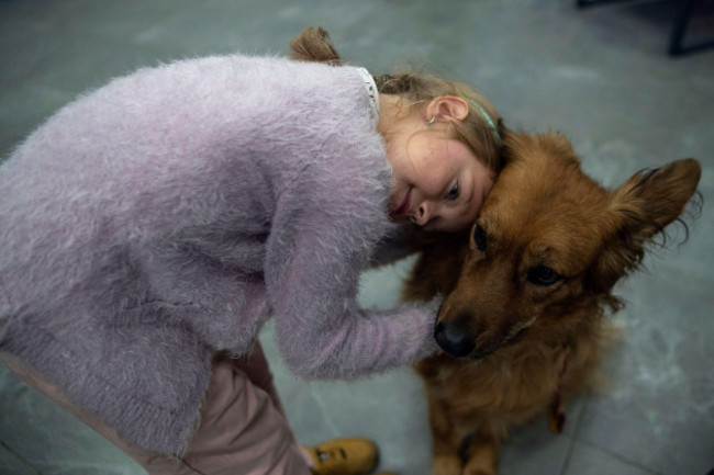 varvara-zagumenna-9-pets-chelsea-a-specially-trained-canistherapy-animal-in-vcentri-hub-kyiv-ukraine-thursday-oct-12-2023-canisterapy-classes-were-organized-by-base-4-5-0-and-innikos-for-c