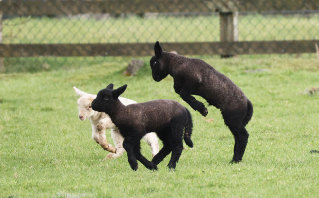 ITS A WONDERFUL WORLD 4257_90700089