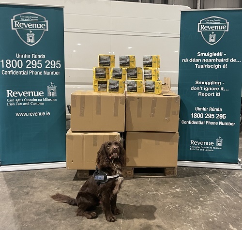 Photo 3 Detector dog Toby with Co. Louth tobacco seizure on 27.02.2024