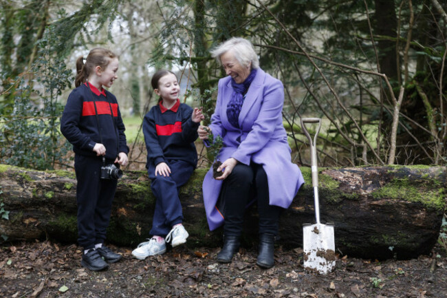 NO FEE COILLTE NAT TREE WEEK 2024 JB3