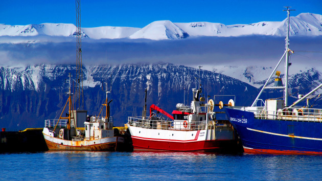 ships-in-harbour-iceland-husavik