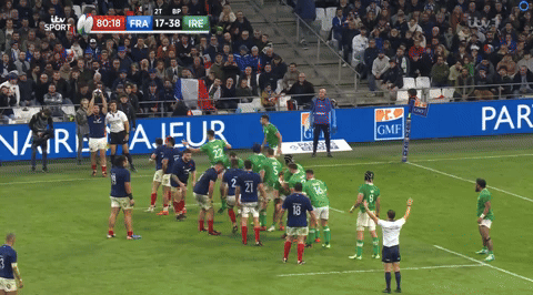 Lineout steal v France
