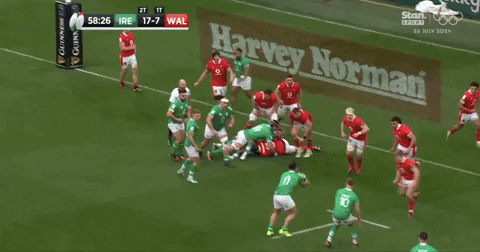 Hands v Wales
