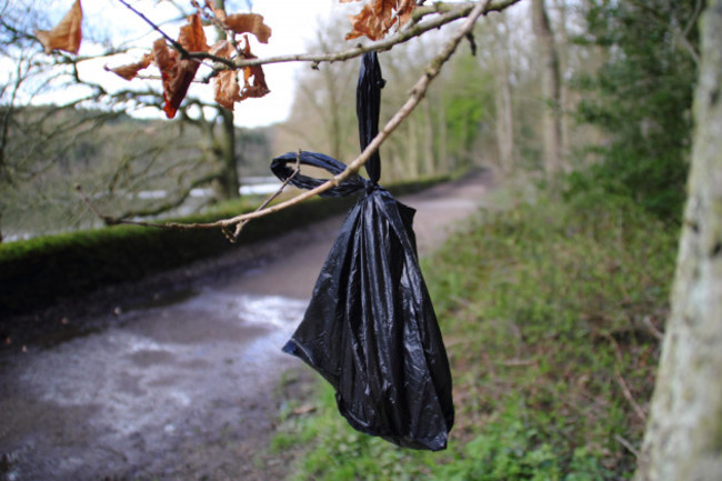 a-bag-containing-dog-waste-hangs-from-a-tree-by-a-path-in-a-derbyshire-woodland-england-uk