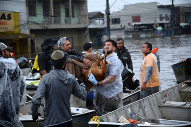 canoas-brazil-10th-may-2024-photo-volunteers-with-rescued-dogs-this-friday-10-the-city-of-canoas-in-rio-grande-do-sul-continues-to-have-several-streets-completely-flooded-animal-rescues-being