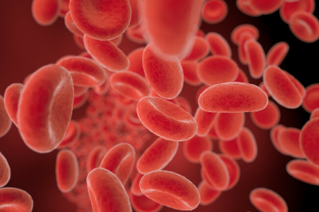 redbloodcellsflowinginavessel3dillustration