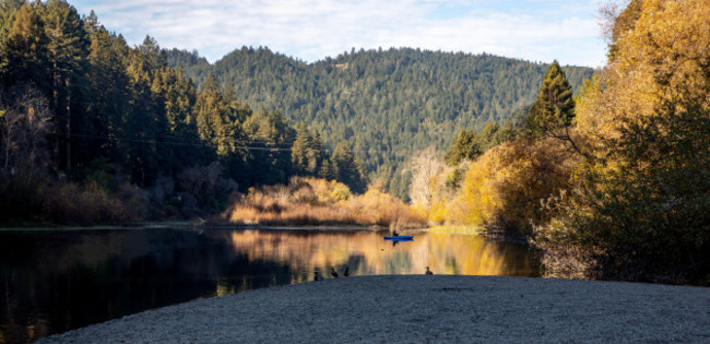 person-fishing-from-a-kayak-on-the-russian-river-near-monte-rio-in-sonoma-county-california-ducks-look-on