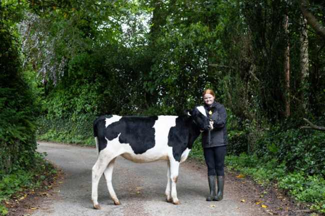 CMK26052024_Cork Summer Show_014