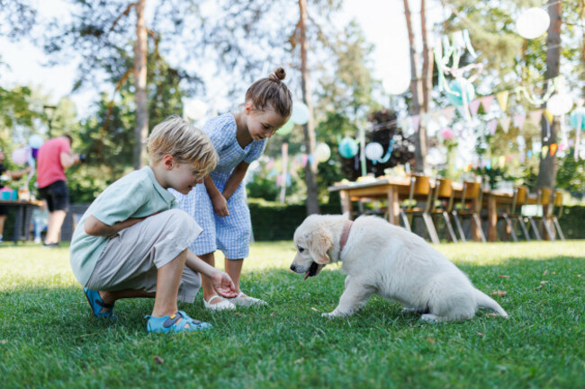childrenplayingwithasmallpuppyatafamilygarden