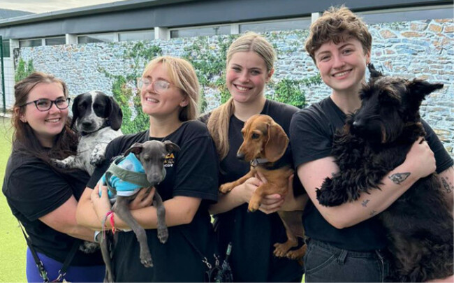 DoggieDayCare_Mobile.dspca_