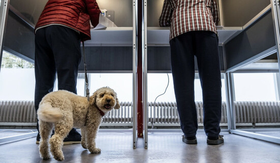 netherlands-nijmegen-06-06-2024-the-polling-stations-in-the-city-are-open-the-netherlands-goes-to-the-polls-for-a-new-european-parliament-photo-anphollands-hoogtemanon-bruininga-netherlands