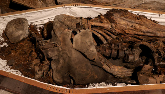Mummified remains in St Michan's Church Crypt 13 May 2024. Photo Credit Dan Sheridan_St Michan's Church - 01