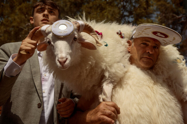 ciutadella-spain-16th-june-2024-a-man-clad-in-a-sheepskin-the-shomo-des-be-sheepman-carries-a-live-ram-around-his-shoulders-as-he-spends-the-sunday-before-ciutadellas-saint-john-festival-w