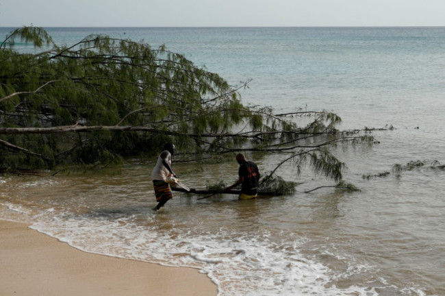 workers-chops-a-tree-uprooted-by-hurricane-beryl-in-st-james-barbados-tuesday-july-2-2024-ap-photoricardo-mazalan