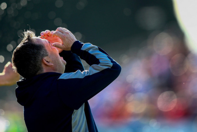 davy-fitzgerald-celebrates-at-the-final-whistle